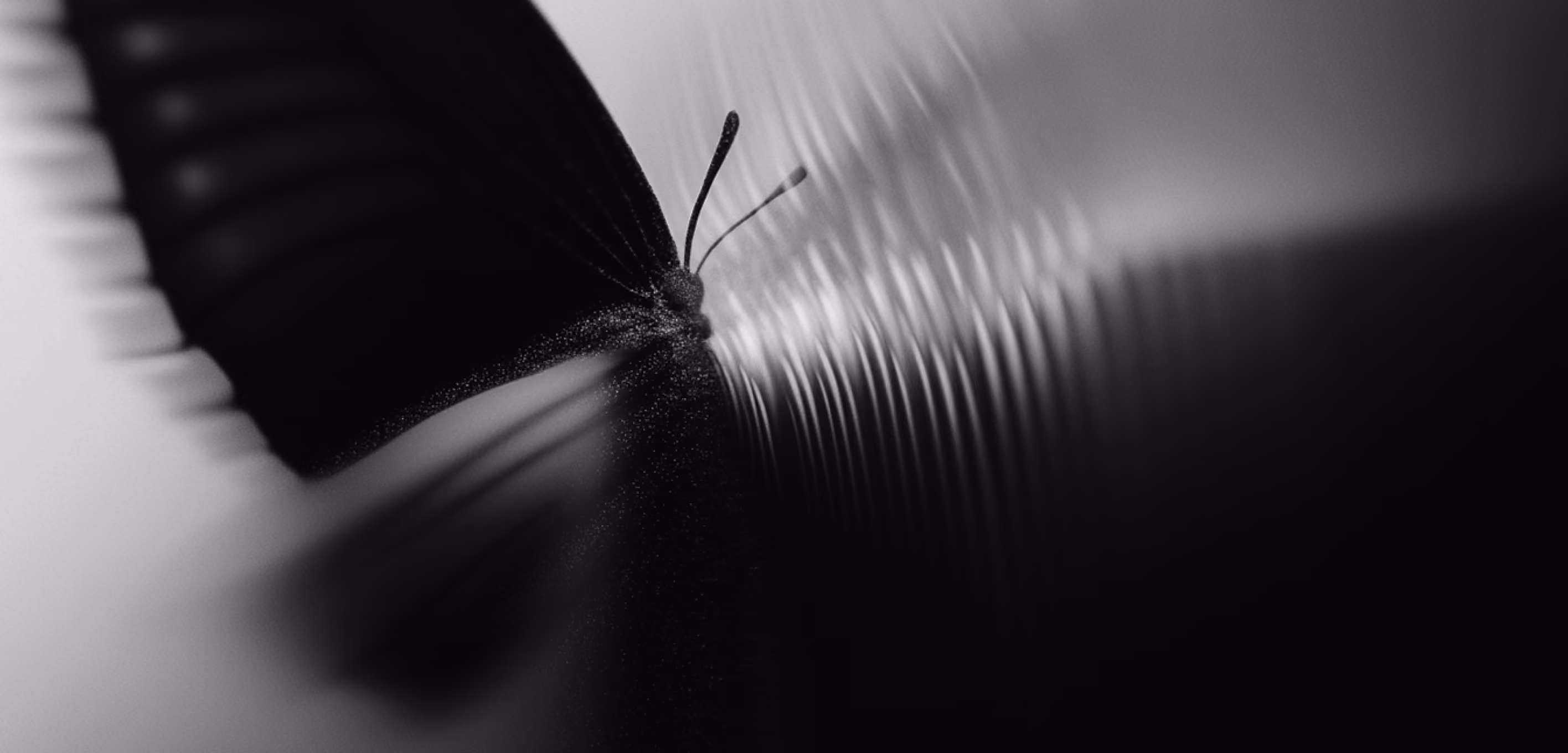 AETHER - Luxury Identity System